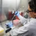¿Qué saben los científicos argentinos sobre el Hantavirus Andes?