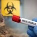 La OMS alerta sobre el hantavirus: «Es una enfermedad grave»