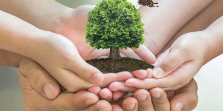 Un pacto ambiental garantizaría integridad ecológica del país