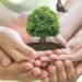 Un pacto ambiental garantizaría integridad ecológica del país