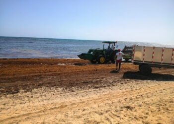Sargazo desmotiva a turistas en las playas de la región Este
