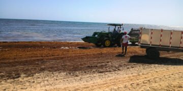 Sargazo desmotiva a turistas en las playas de la región Este