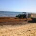 Sargazo desmotiva a turistas en las playas de la región Este