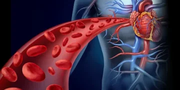 Enemigos del colesterol alto: cuáles son los hábitos y alimentos que los expertos aconsejan eliminar
