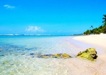 La conservación de las playas dominicanas depende de los ecosistemas marinos: el 88 % de su arena es de origen biológico