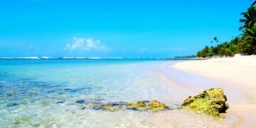 La conservación de las playas dominicanas depende de los ecosistemas marinos: el 88 % de su arena es de origen biológico