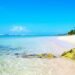La conservación de las playas dominicanas depende de los ecosistemas marinos: el 88 % de su arena es de origen biológico