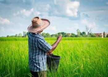 Nagua: la productividad empieza en el agua