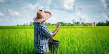 Nagua: la productividad empieza en el agua
