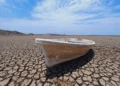 Fenómeno El Niño se forma en el Pacífico con previsión de ser «muy fuerte», avisa EE. UU.