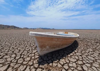 Fenómeno El Niño se forma en el Pacífico con previsión de ser «muy fuerte», avisa EE. UU.