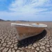 Fenómeno El Niño se forma en el Pacífico con previsión de ser «muy fuerte», avisa EE. UU.