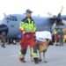 Bomberos, perros, drones, forenses: así ayuda la comunidad internacional a Venezuela