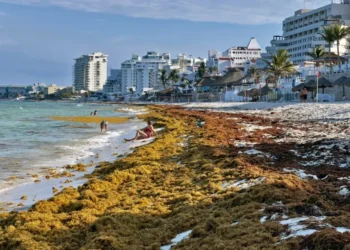 México escala esfuerzos para contener el arribo de sargazo al Caribe