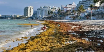 México escala esfuerzos para contener el arribo de sargazo al Caribe