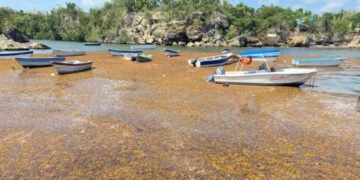El sargazo ha acumulado más de nueve millones de toneladas en el Caribe