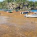 El sargazo ha acumulado más de nueve millones de toneladas en el Caribe