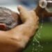 El calor hace que corazón trabaje con mayores esfuerzos