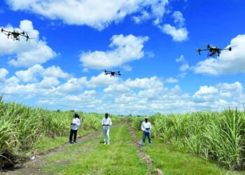 Drones agrícolas: el desafío de financiar la innovación
