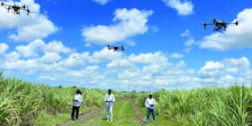 Drones agrícolas: el desafío de financiar la innovación