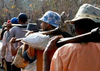 ¿Qué es el trabajo forzoso y qué establece la legislación dominicana sobre la práctica que llevó a Donald Trump a imponer nuevos aranceles?