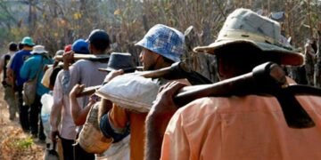 ¿Qué es el trabajo forzoso y qué establece la legislación dominicana sobre la práctica que llevó a Donald Trump a imponer nuevos aranceles?