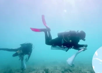 «Reserve Resort»: el innovador «hotel submarino» creado en República Dominicana para salvar los arrecifes de coral