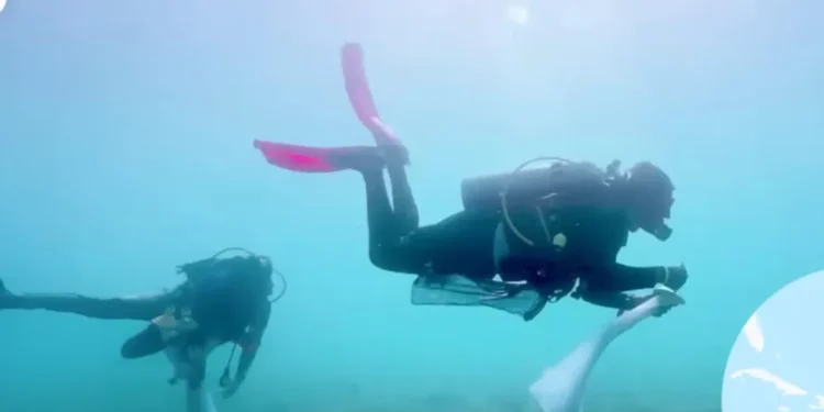 «Reserve Resort»: el innovador «hotel submarino» creado en República Dominicana para salvar los arrecifes de coral