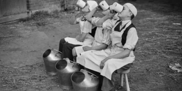 5 alimentos que ayudan a cuidar nuestros huesos (más allá de la leche)
