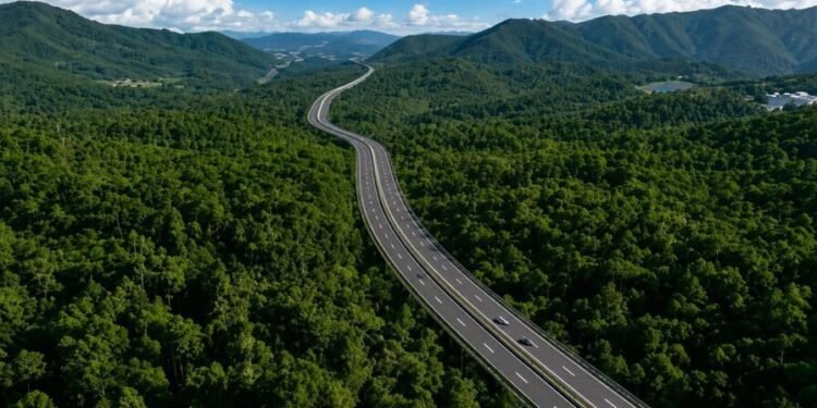 La autopista del Ámbar: una infraestructura para conectar oportunidades