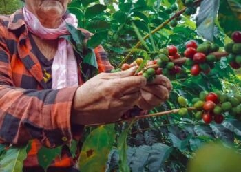 Elías Piña: la frontera también puede producir futuro