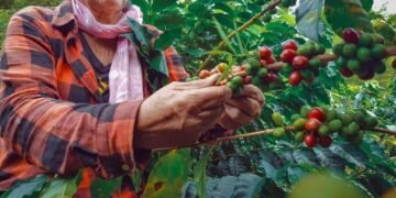 Elías Piña: la frontera también puede producir futuro
