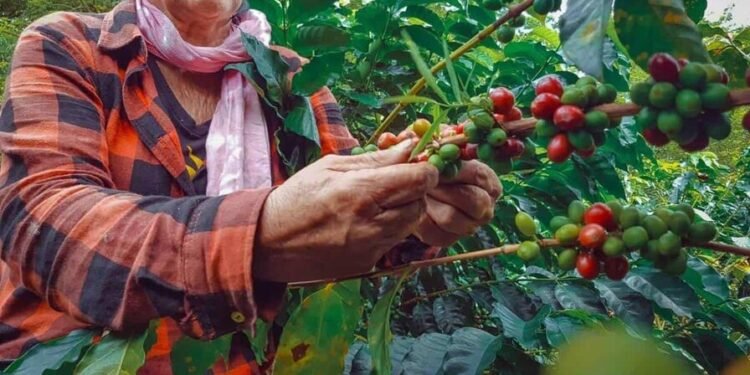 Elías Piña: la frontera también puede producir futuro