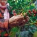 Elías Piña: la frontera también puede producir futuro