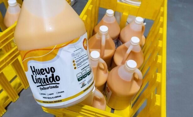 Del cascarón al galón, así crece la industria del huevo pasteurizado en República Dominicana