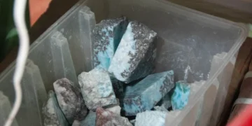 Las normas que explican por qué República Dominicana volvió a exportar larimar
