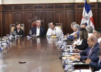 Abinader realiza 22 cambios en su gobierno
