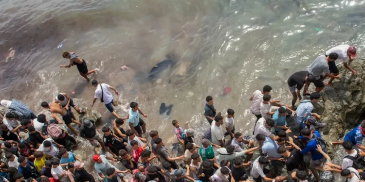 «Europa controla hoy mejor sus fronteras, pero esta política también tiene un coste humano»