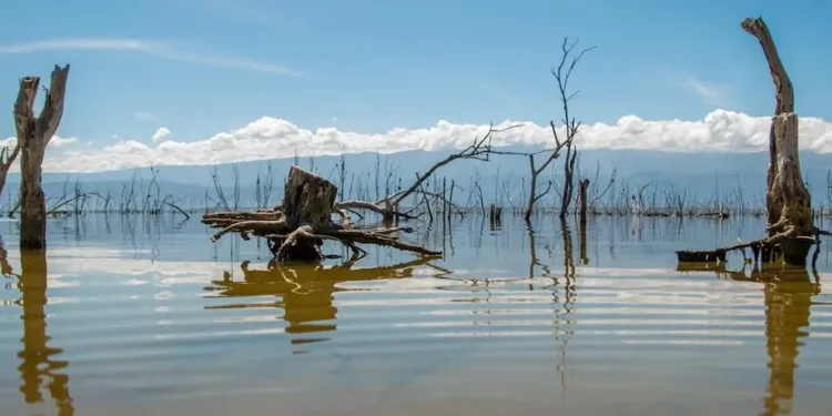 Alertan por vulnerabilidad de los lagos y lagunas en República Dominicana