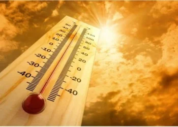 Desde Japón hasta RD, la ola de calor extrema que golpea a varios continentes por el cambio climático