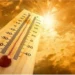 Desde Japón hasta RD, la ola de calor extrema que golpea a varios continentes por el cambio climático