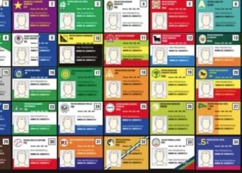 Las alianzas y decisiones judiciales son el salvavidas de micropartidos para cobrar millones