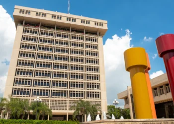 Peso dominicano se fortalece por aumento de divisas, turismo y exportaciones