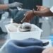 Aeropuerto de Punta Cana usa inteligencia artificial para detectar drogas y divisas no declaradas
