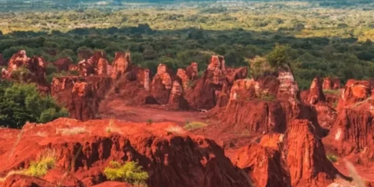 EE. UU. y la UE estrechan su cooperación con República Dominicana en torno a sus tierras raras