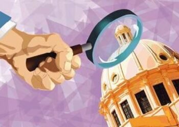 Partido de Gobierno: entre la capacidad y la confianza