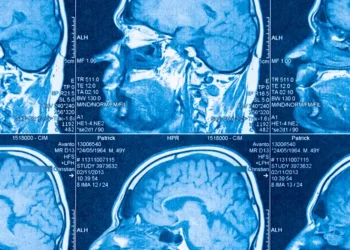 El cerebro humano no es uno, sino dos órganos