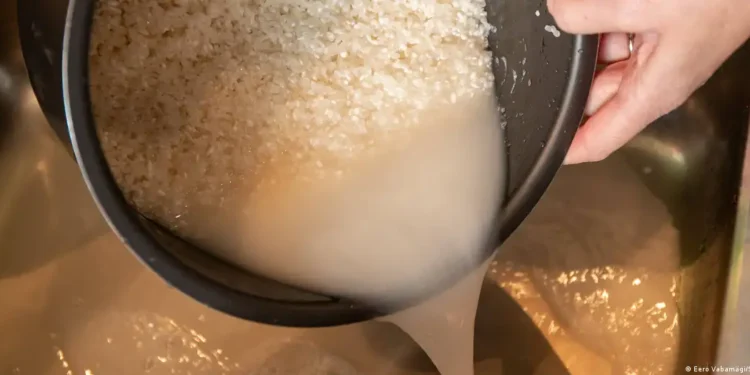¿Realmente hay que lavar el arroz antes de cocinarlo?