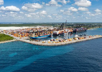Manglares de Boca Chica alcanzan 86 % de supervivencia