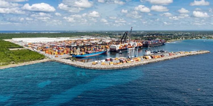 Manglares de Boca Chica alcanzan 86 % de supervivencia